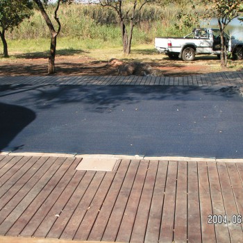 MINOLTA DIGITAL CAMERA Shadenet Leaf Catcher