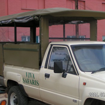 MINOLTA DIGITAL CAMERA Canvas Roof and Sides