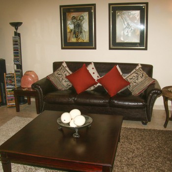 Leather Couch with Scatter Cushions