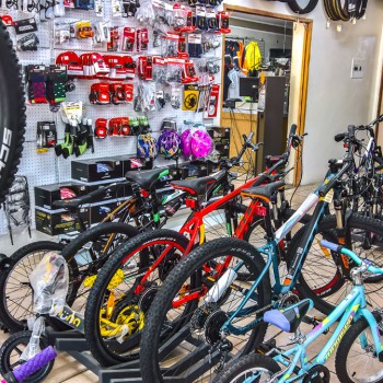 WP_20180815_11_54_52_Rich-2