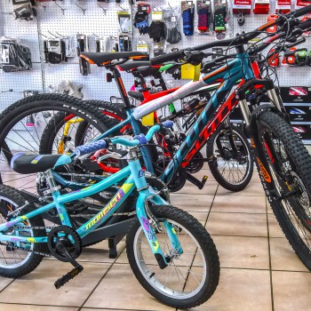 WP_20180815_11_57_11_Ric